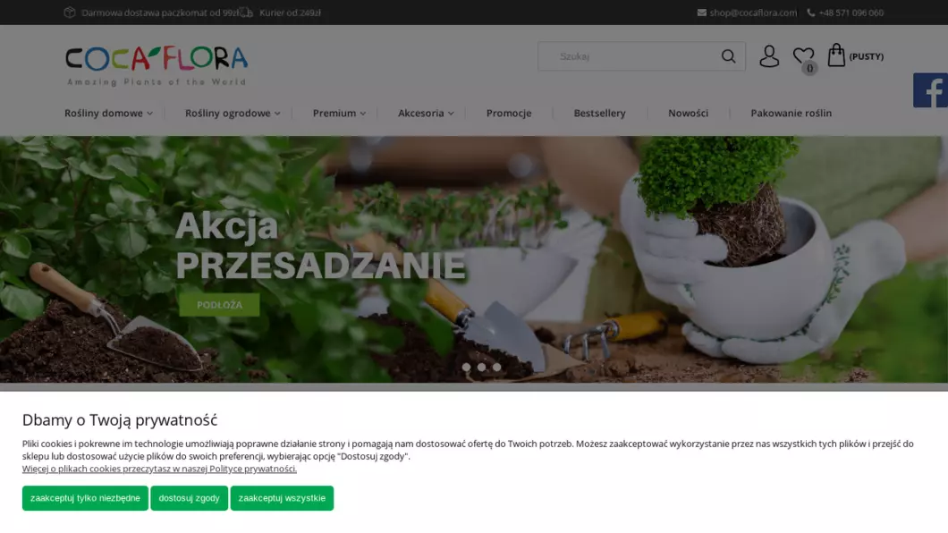 Zrzut ekranu strony Sklep z roślinami CocaFlora