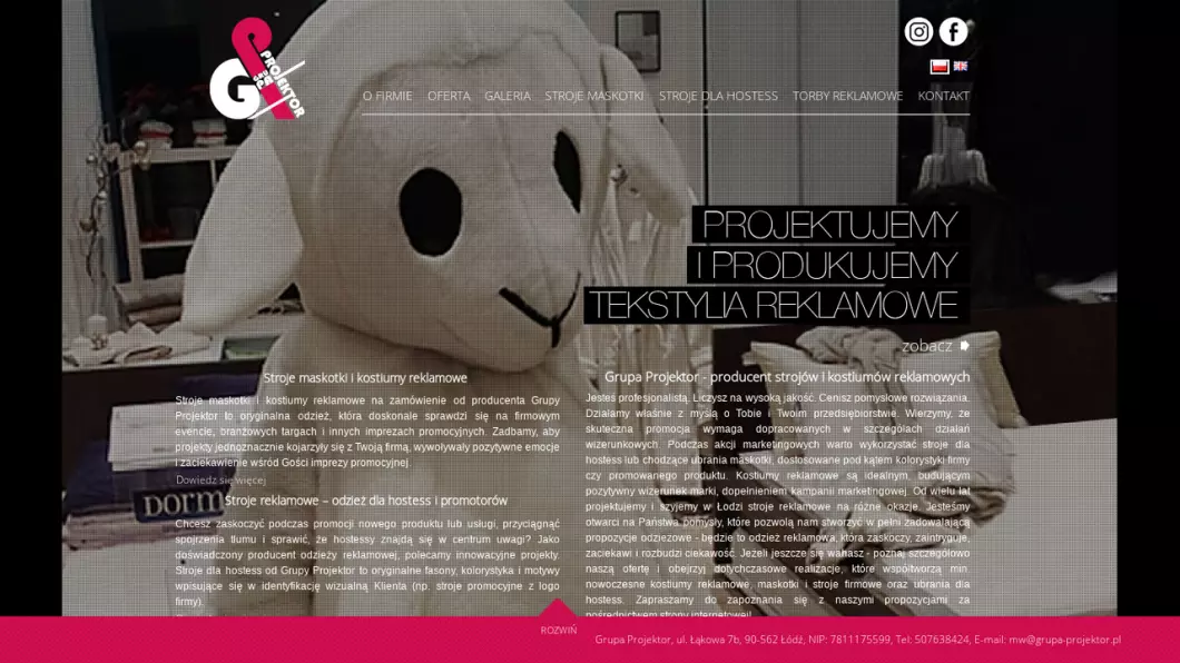 Zrzut ekranu strony Kostiumy reklamowe producent | Grupa Projektor